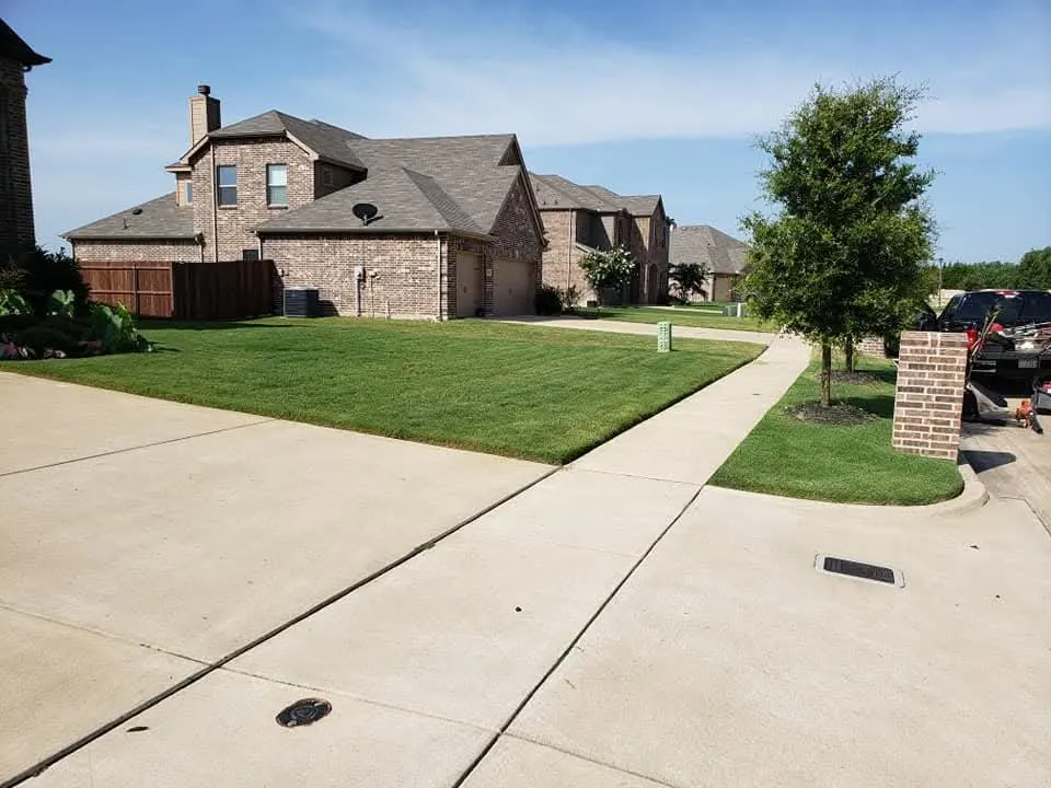 Top-rated yard cleanup service for beautiful yards across Dallas, TX - Lee's Lawn