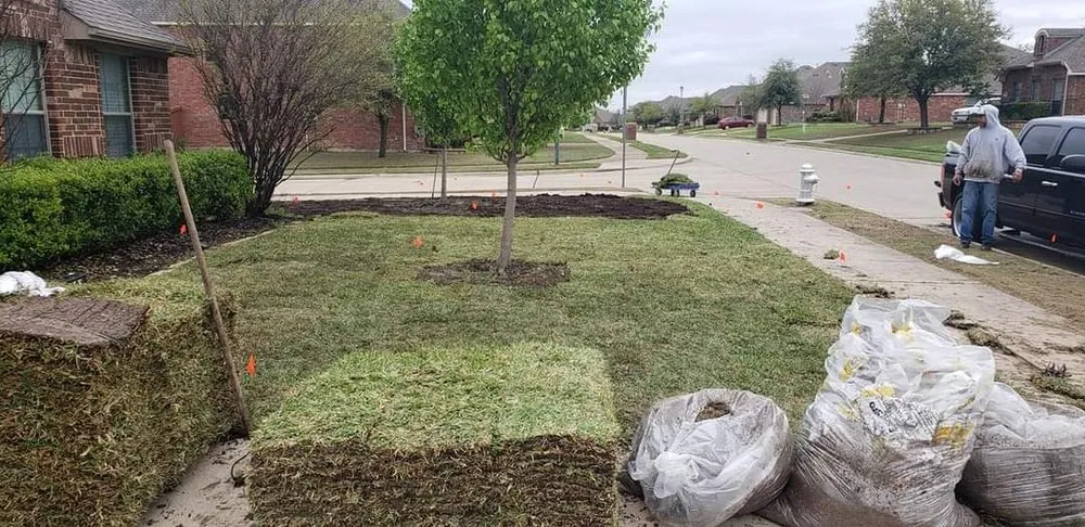 Reliable landscape installation for outdoor upgrades across Dallas, TX - Lee's Lawn