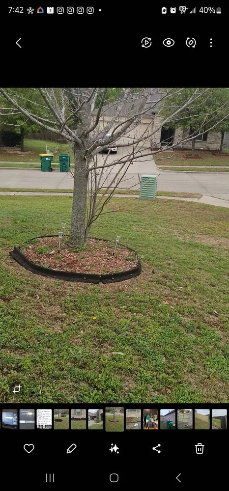 Reliable landscape design experts serving Dallas, TX - Lee's Lawn