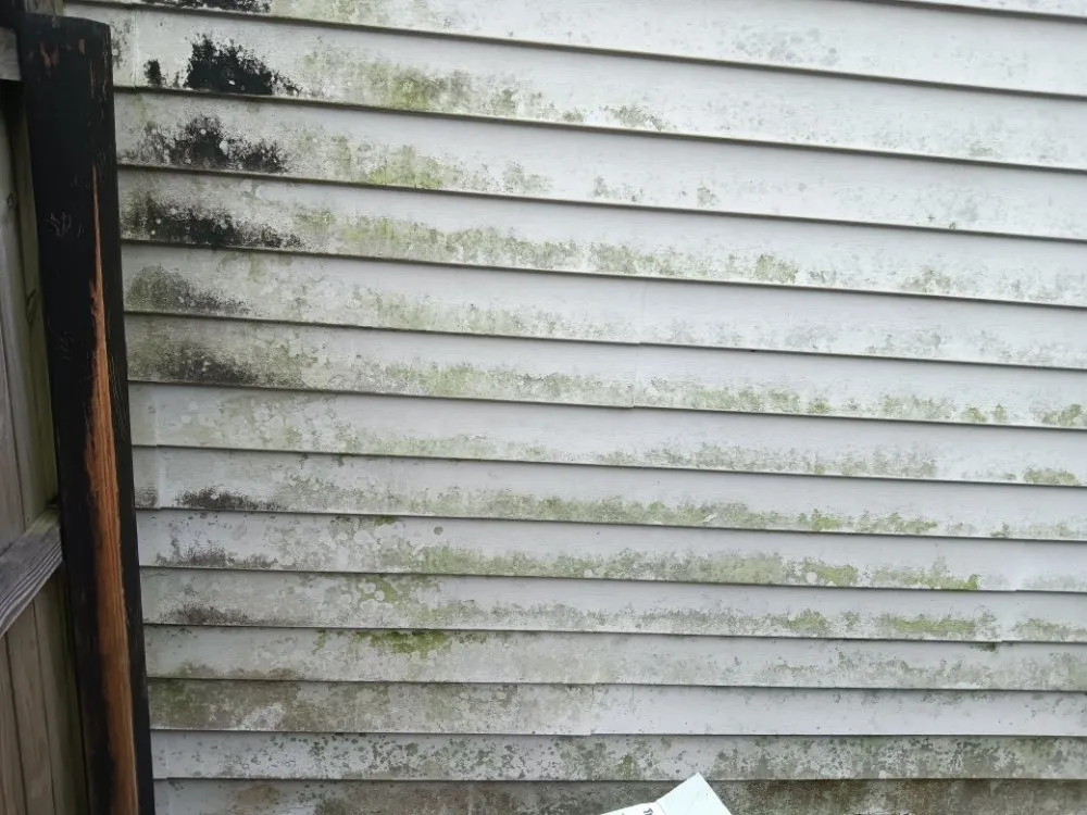 Custom garden landscaping for homes in Middleburg, FL by Lee's Lawn Service and More