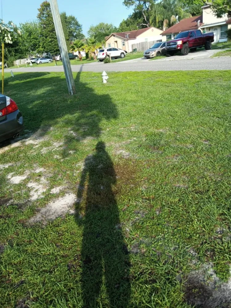 Top-rated residential landscaping experts serving Middleburg, FL - Lee's Lawn Service and More