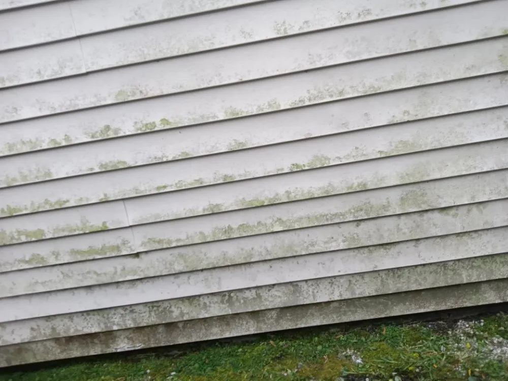 Custom landscaping services in Middleburg, FL - Lee's Lawn Service and More