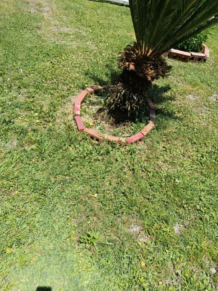 Professional lawn care service with custom design in Middleburg, FL by Lee's Lawn Service and More