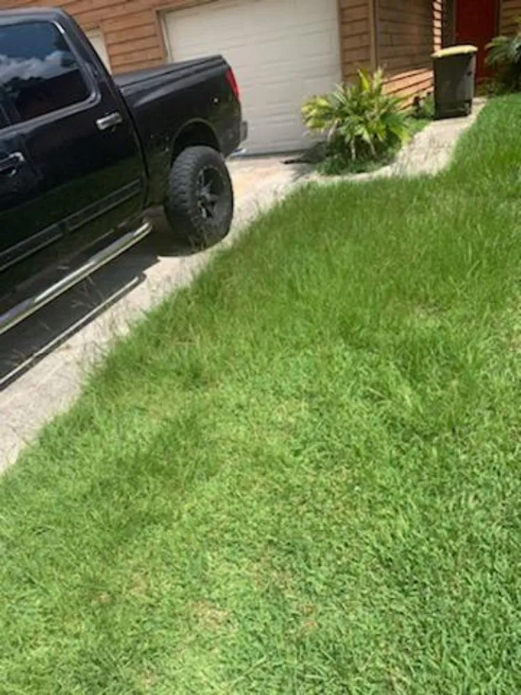 Professional landscape design in Middleburg, FL by Lee's Lawn Service and More