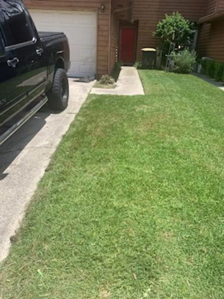 Expert landscape installation experts serving Middleburg, FL - Lee's Lawn Service and More