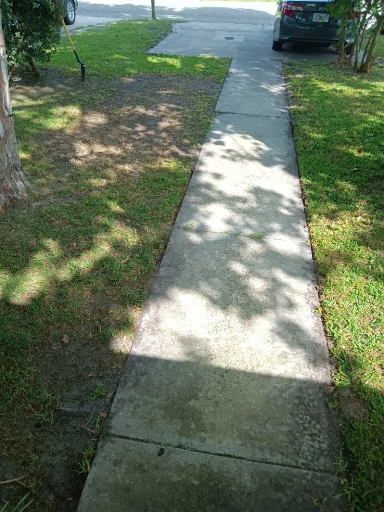 Professional landscape installation in Middleburg, FL - Lee's Lawn Service and More