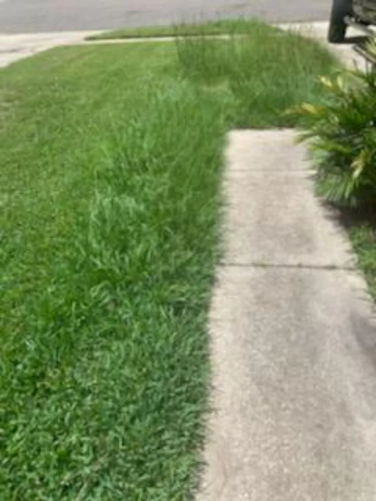 Expert yard cleanup service for homes across Middleburg, FL - Lee's Lawn Service and More