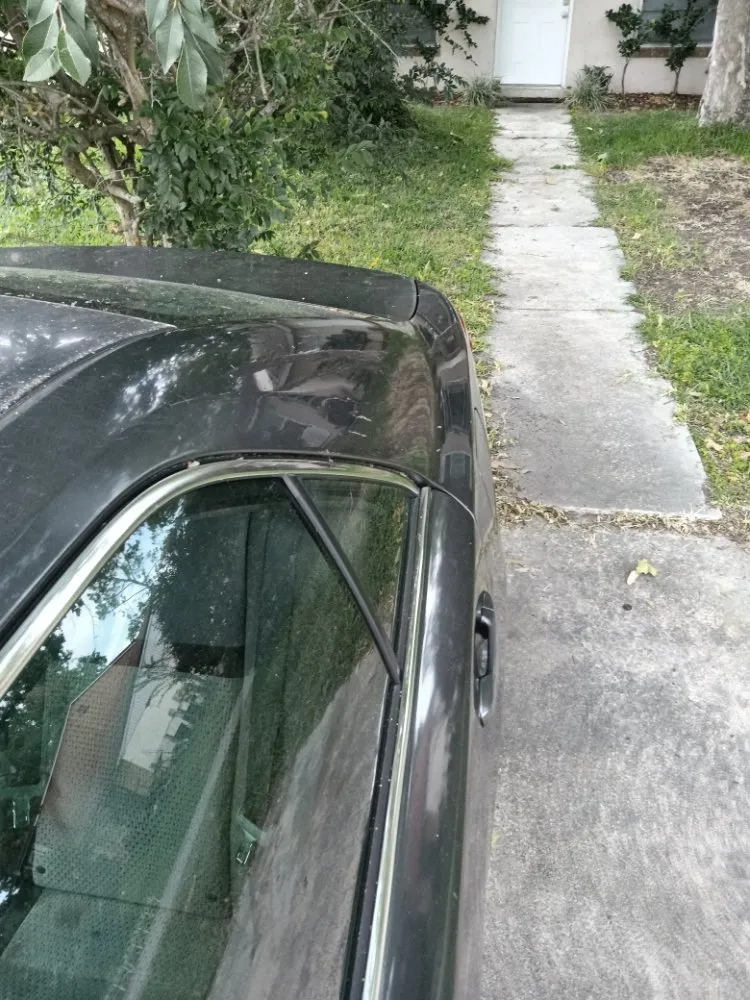 Top-rated lawn care service in Middleburg, FL by Lee's Lawn Service and More