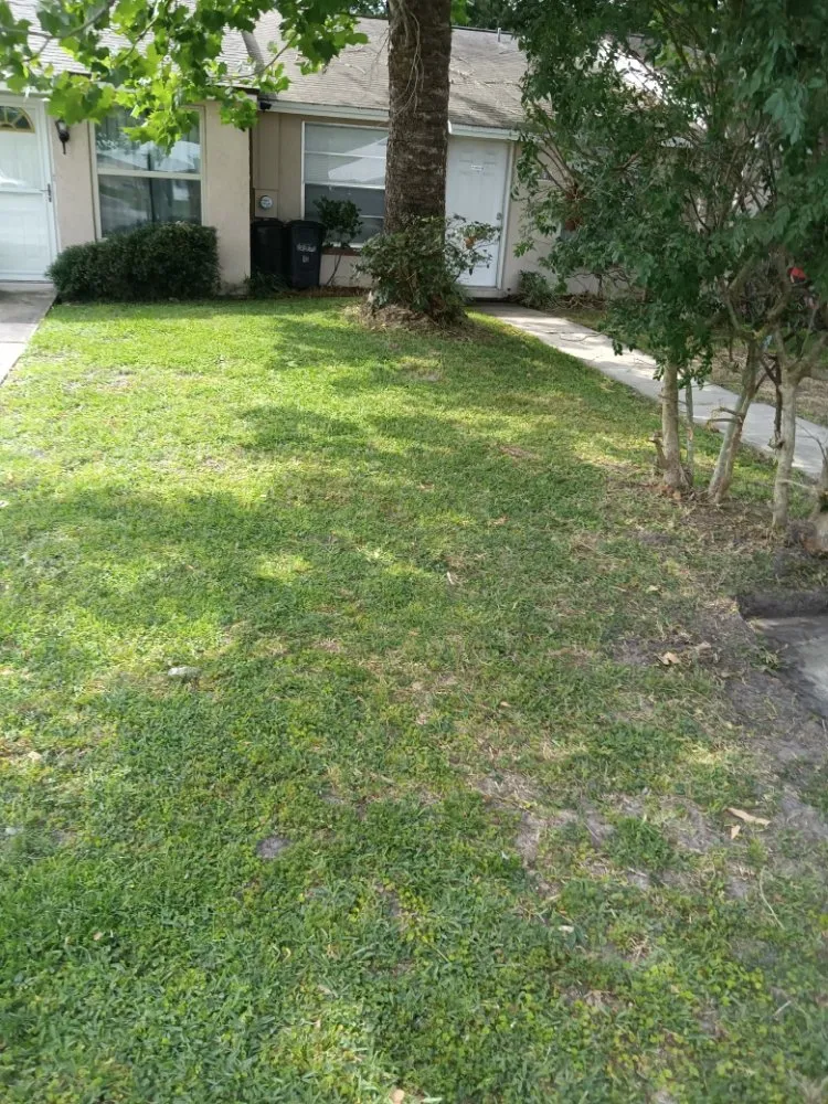 Trusted lawn care service for outdoor upgrades across Middleburg, FL - Lee's Lawn Service and More