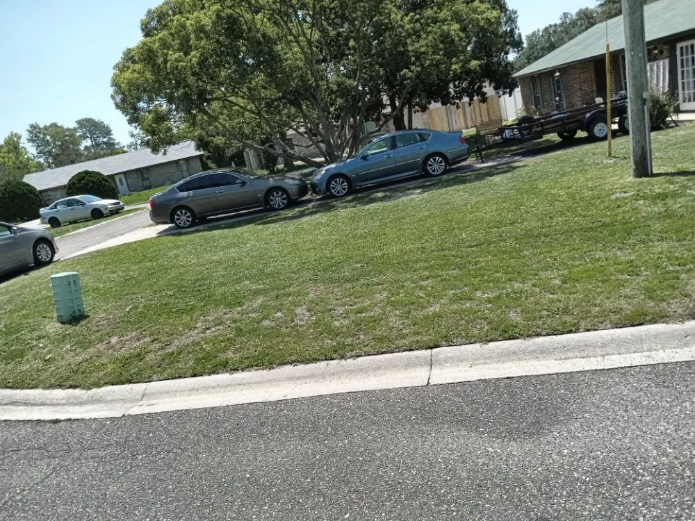 Expert landscape installation for beautiful yards in Middleburg, FL by Lee's Lawn Service and More