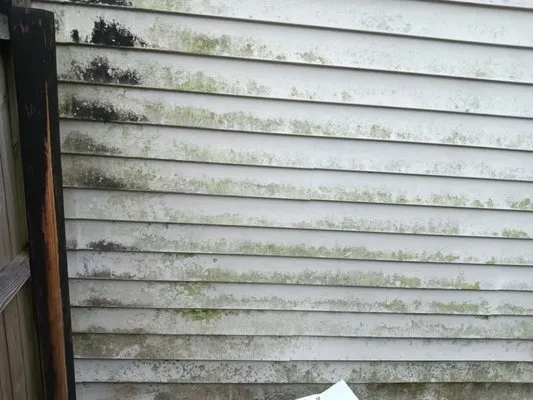 Lee's Lawn Service and More Logo