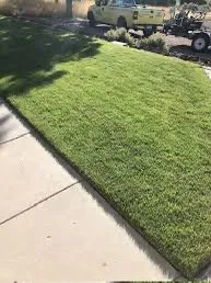 Affordable lawn mowing service in Edinburg, TX - Lee’s Lawn Service