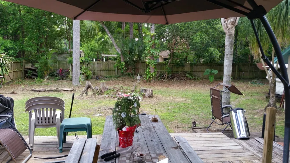 Expert yard maintenance experts serving Orlando, FL - Lee's Lawn Service