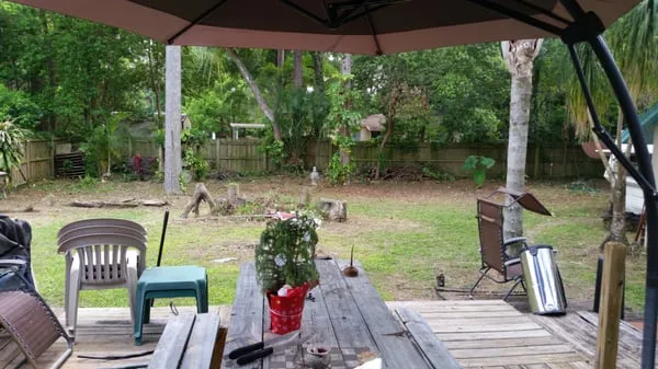 Lee's Lawn Service Logo