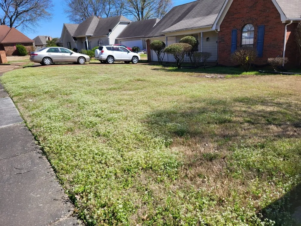 Top-rated lawn mowing service experts serving Memphis, TN - Lee's Lawn Services