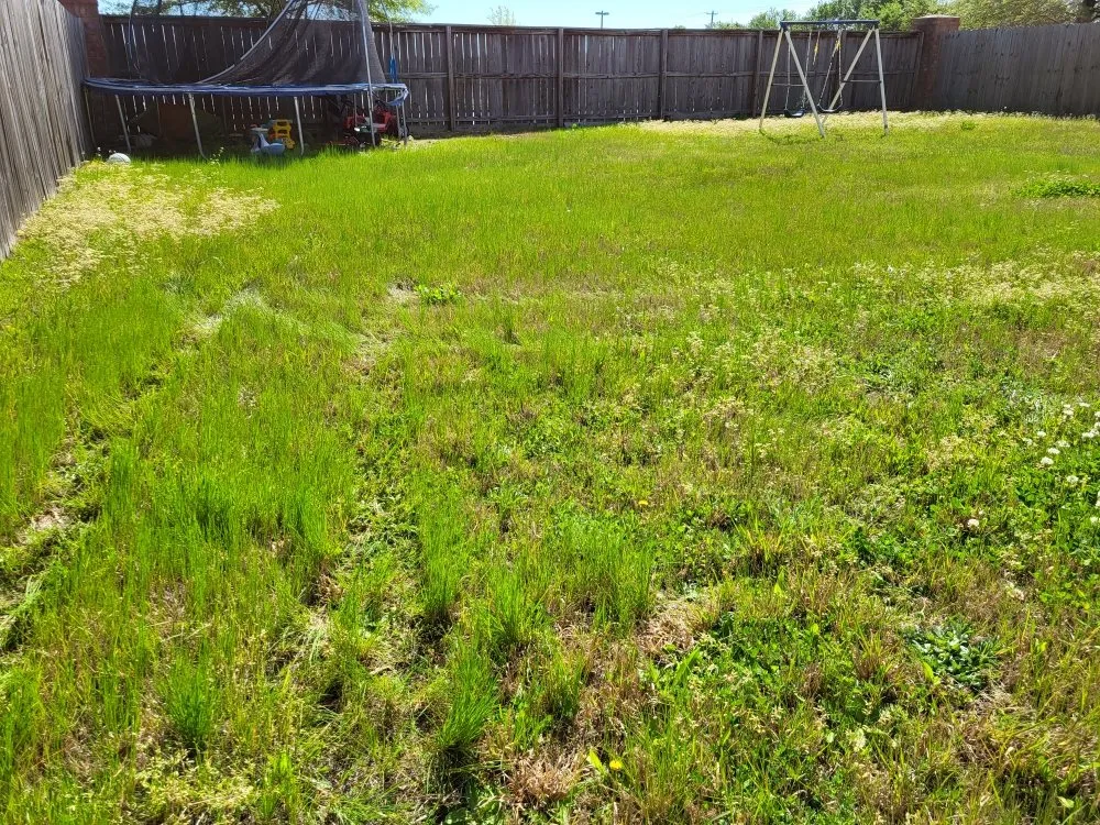 Professional yard maintenance experts serving Memphis, TN - Lee's Lawn Services