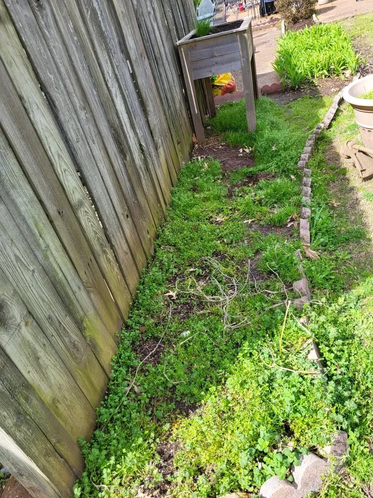 Reliable yard cleanup service experts serving Memphis, TN - Lee's Lawn Services