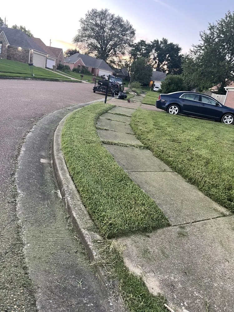 Top-rated lawn care service experts serving Memphis, TN - Lee's Lawn Services