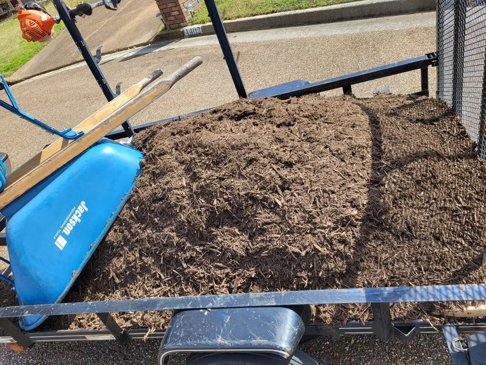 Trusted yard maintenance for beautiful yards across Memphis, TN - Lee's Lawn Services