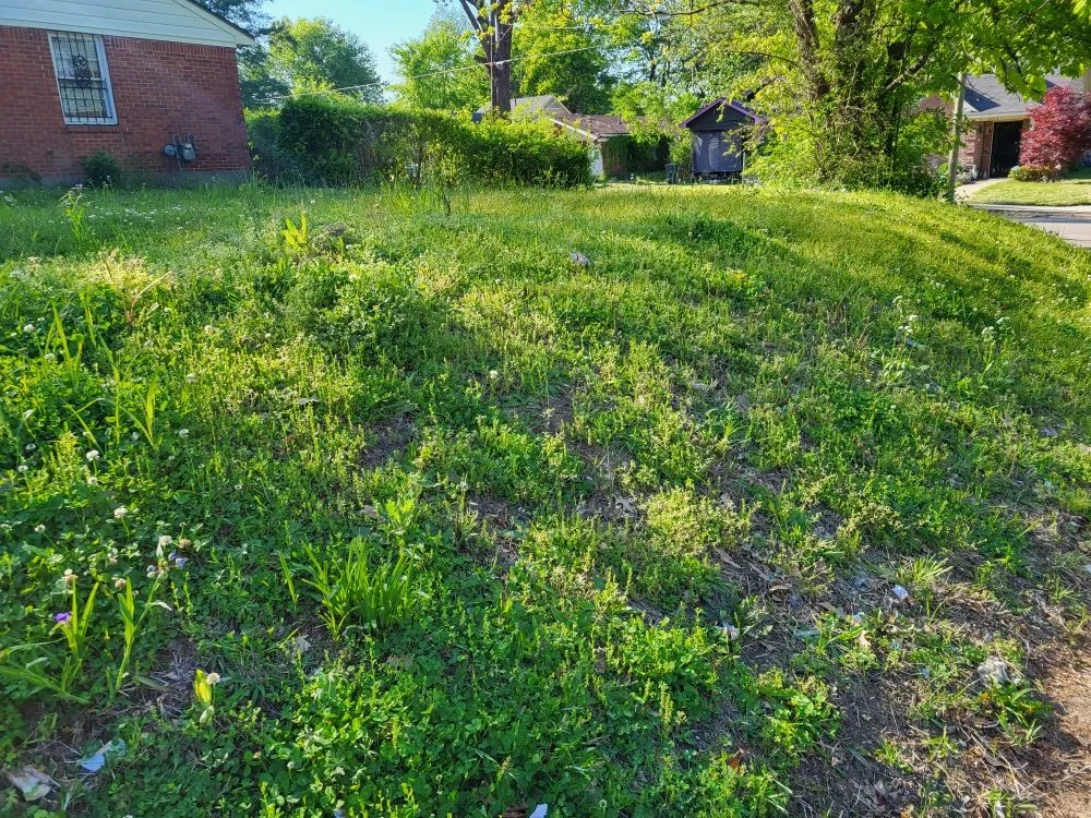 Trusted lawn mowing service in Memphis, TN - Lee's Lawn Services