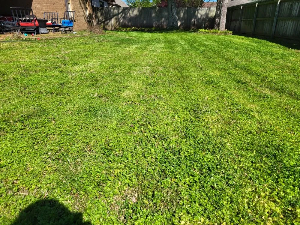 Custom landscaping services for outdoor upgrades across Memphis, TN - Lee's Lawn Services