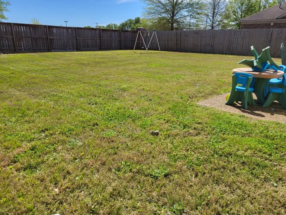 Top-rated lawn mowing service for outdoor upgrades across Memphis, TN - Lee's Lawn Services