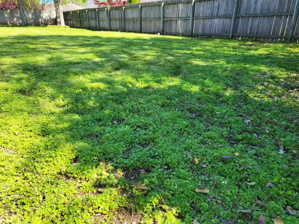 Affordable landscape design in Memphis, TN - Lee's Lawn Services