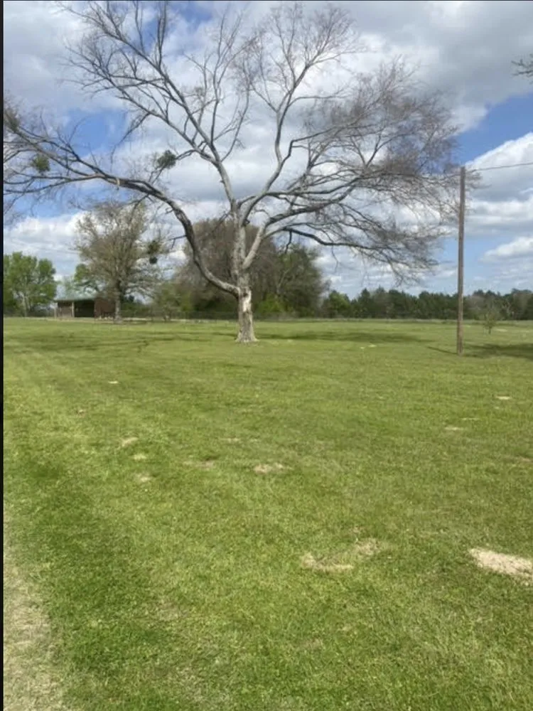 Expert landscape design in Mineola, TX by Lee's Lawns And Landscaping