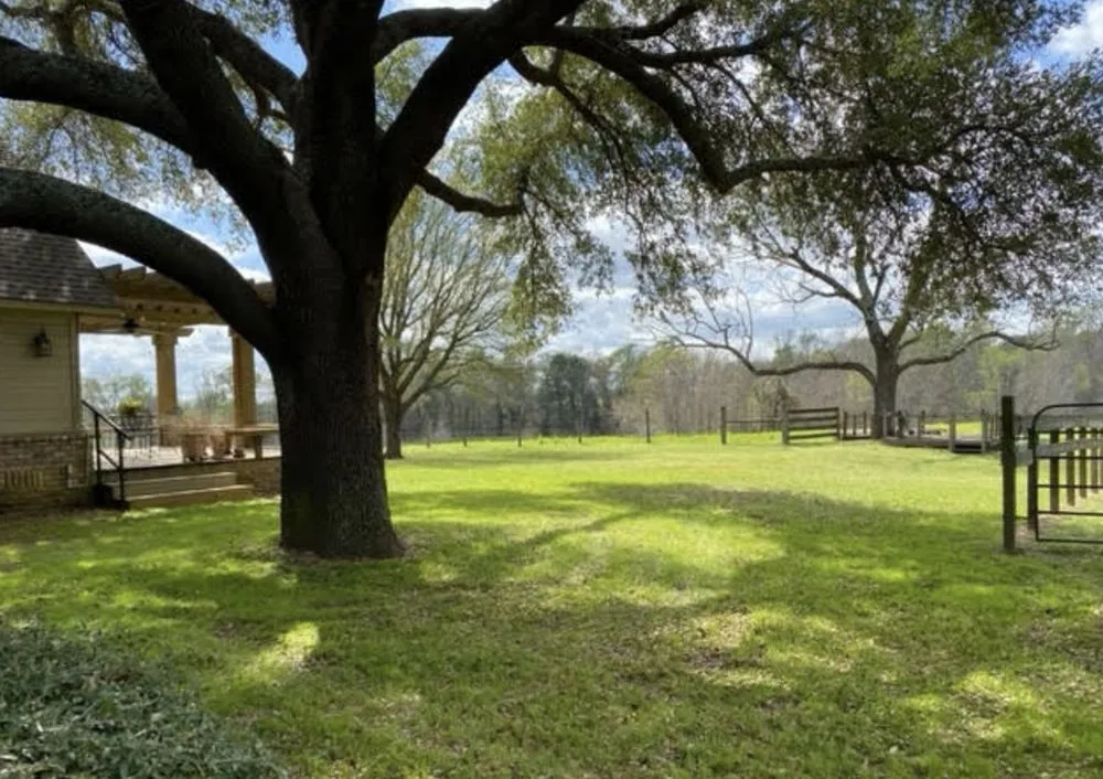 Reliable yard cleanup service experts serving Mineola, TX - Lee's Lawns And Landscaping