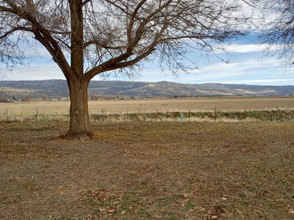 Reliable landscape design in Malin, OR - Lees Nursery