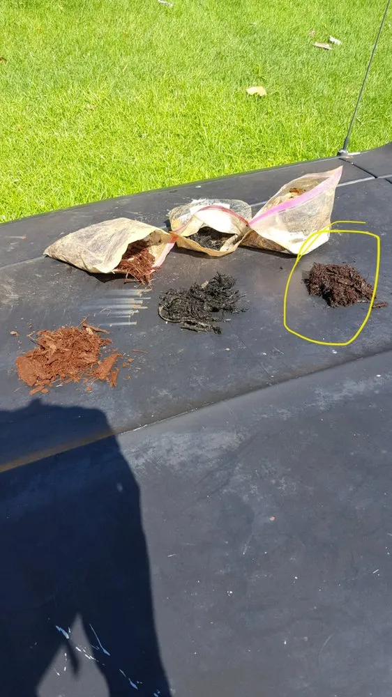 Local landscape installation for residential properties across Huntsville, AL - Lee's Pro Turf