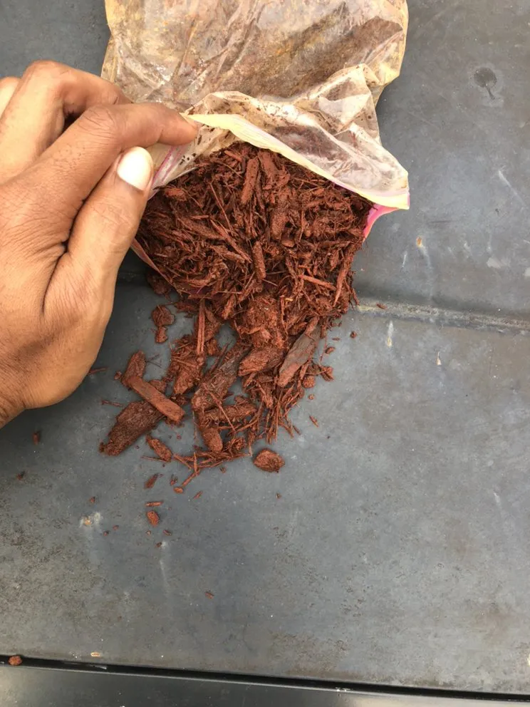 Trusted outdoor landscaping in Huntsville, AL - Lee's Pro Turf