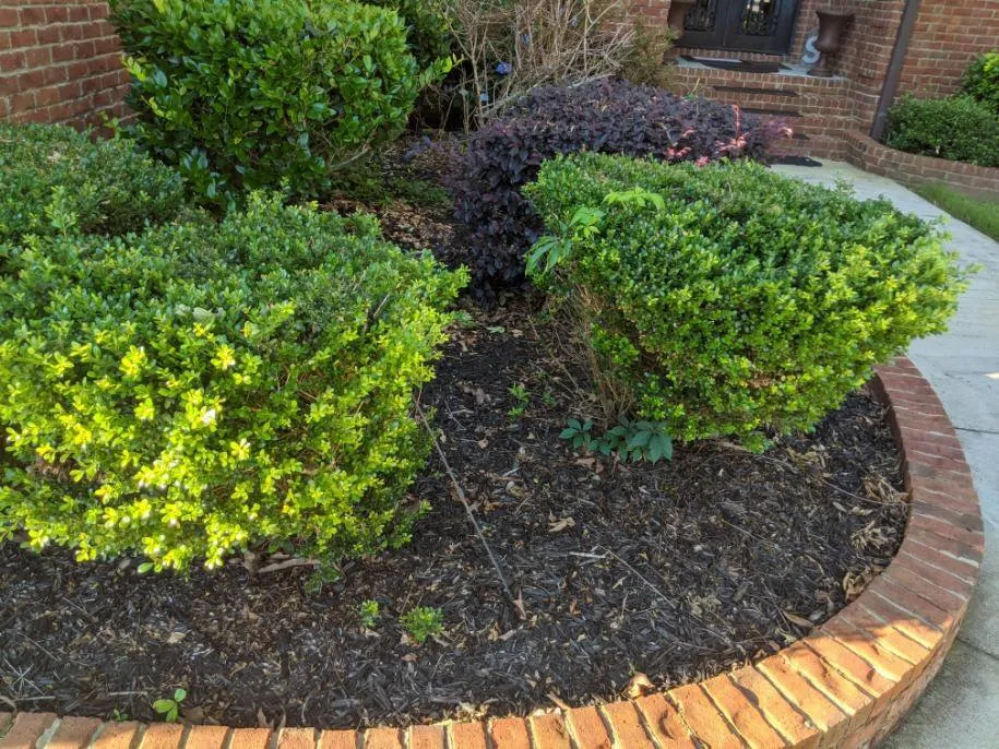 Trusted landscaping services experts serving Huntsville, AL - Lee's Pro Turf