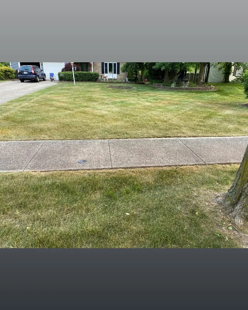 Local yard maintenance for outdoor upgrades in Cleveland, OH by Lee’s Quality Work