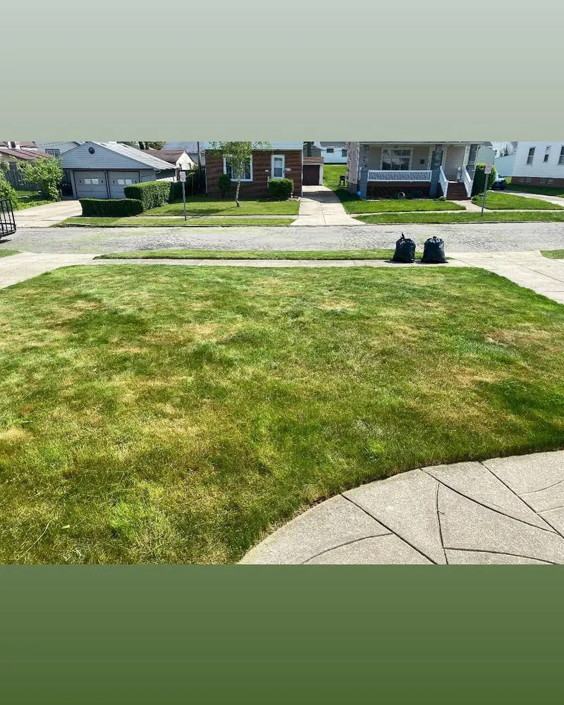 Top-rated lawn care service in Cleveland, OH - Lee’s Quality Work