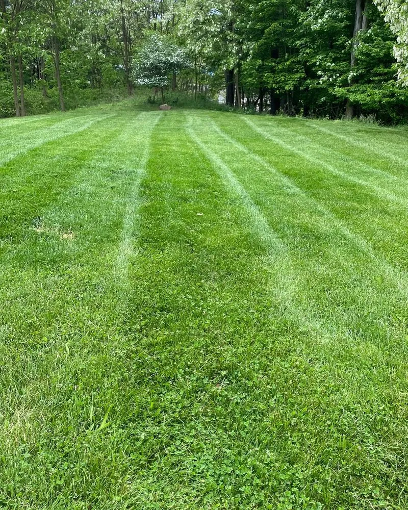 Expert landscape design experts serving Cleveland, OH - Lee’s Quality Work