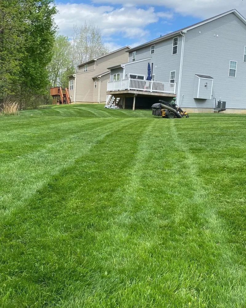 Professional lawn care service with custom design in Cleveland, OH by Lee’s Quality Work