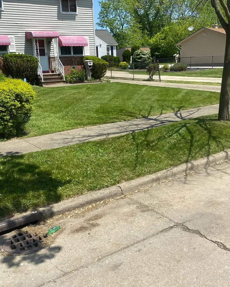 Expert yard maintenance experts serving Cleveland, OH - Lee’s Quality Work