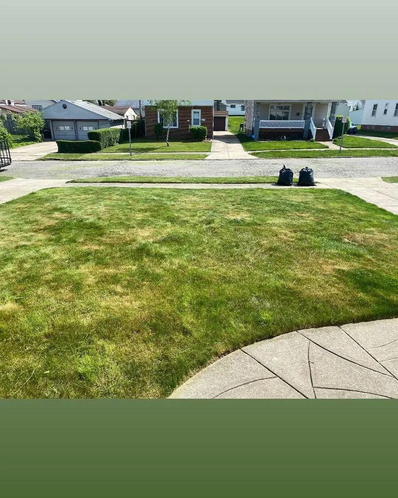 Trusted residential landscaping in Cleveland, OH - Lee’s Quality Work
