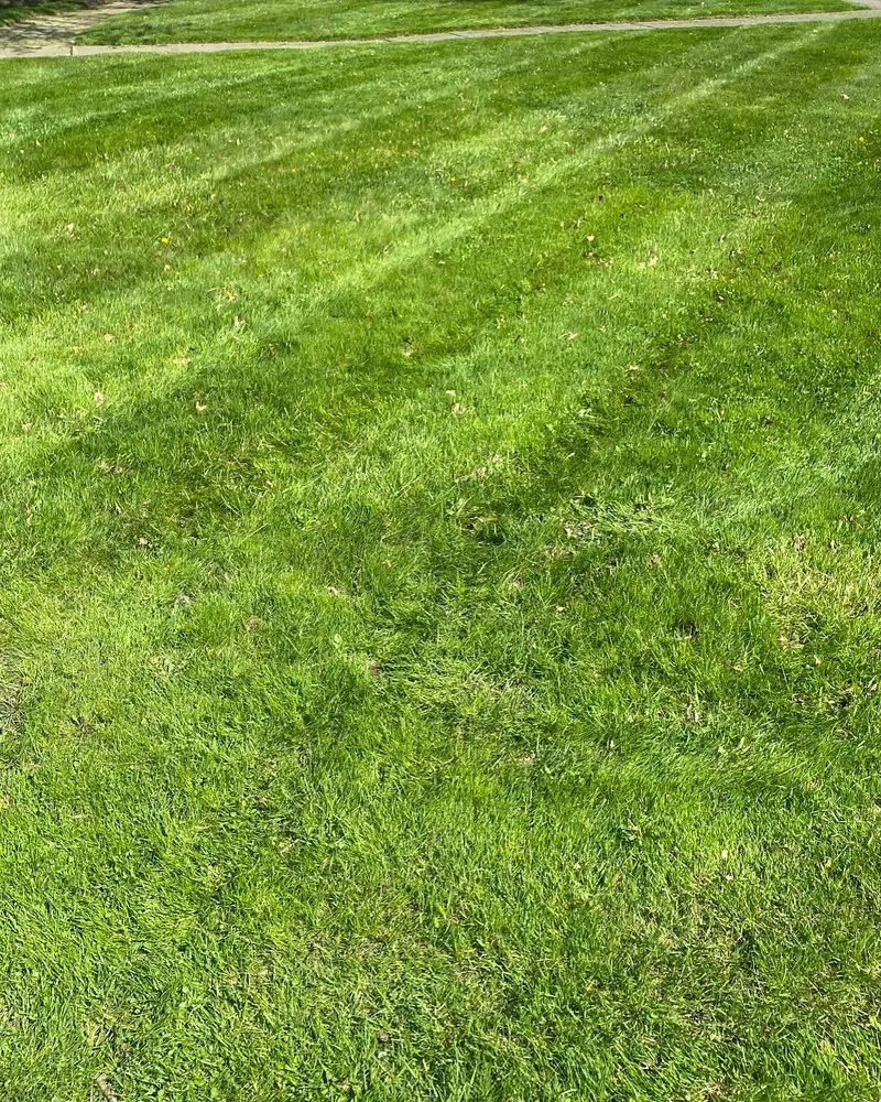 Reliable landscape design experts serving Cleveland, OH - Lee’s Quality Work