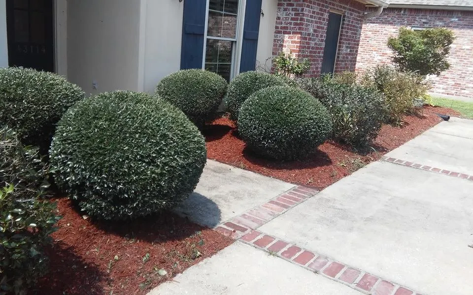 Professional lawn mowing service experts serving Baton Rouge, LA - Lee's Superior Landscaping
