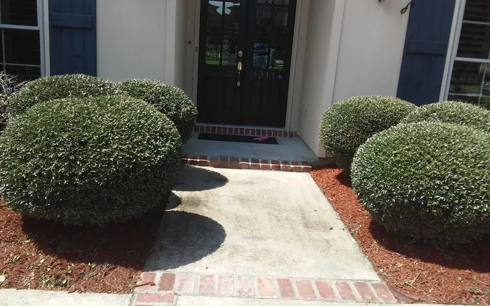 Trusted yard cleanup service for beautiful yards in Baton Rouge, LA by Lee's Superior Landscaping