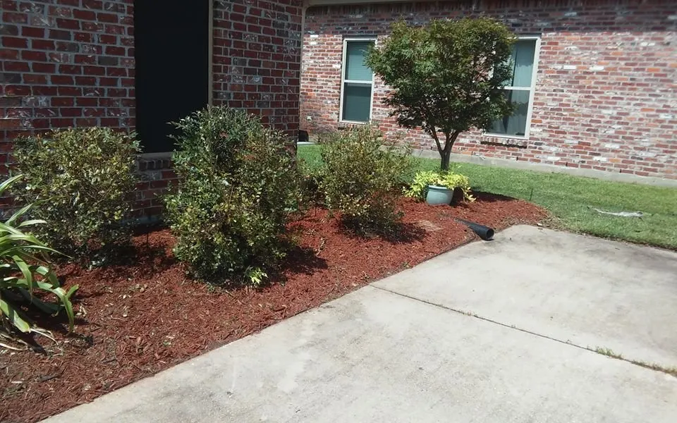 Expert yard maintenance in Baton Rouge, LA - Lee's Superior Landscaping