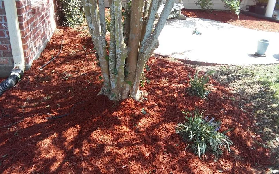 Reliable yard cleanup service with custom design across Baton Rouge, LA - Lee's Superior Landscaping