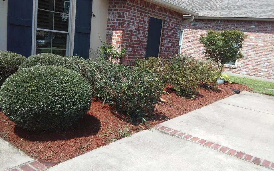 Reliable landscaping services for beautiful yards across Baton Rouge, LA - Lee's Superior Landscaping
