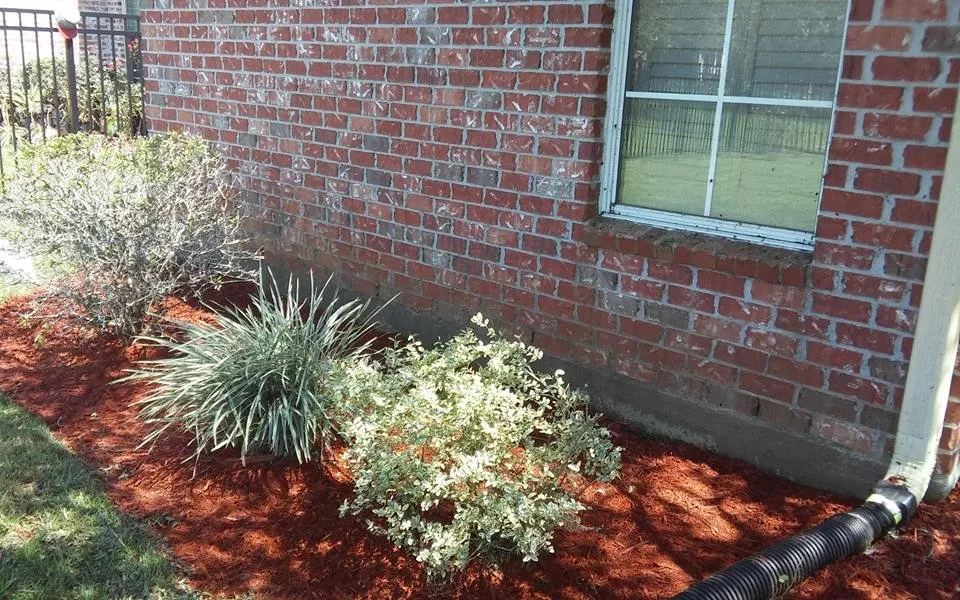 Affordable lawn mowing service in Baton Rouge, LA - Lee's Superior Landscaping