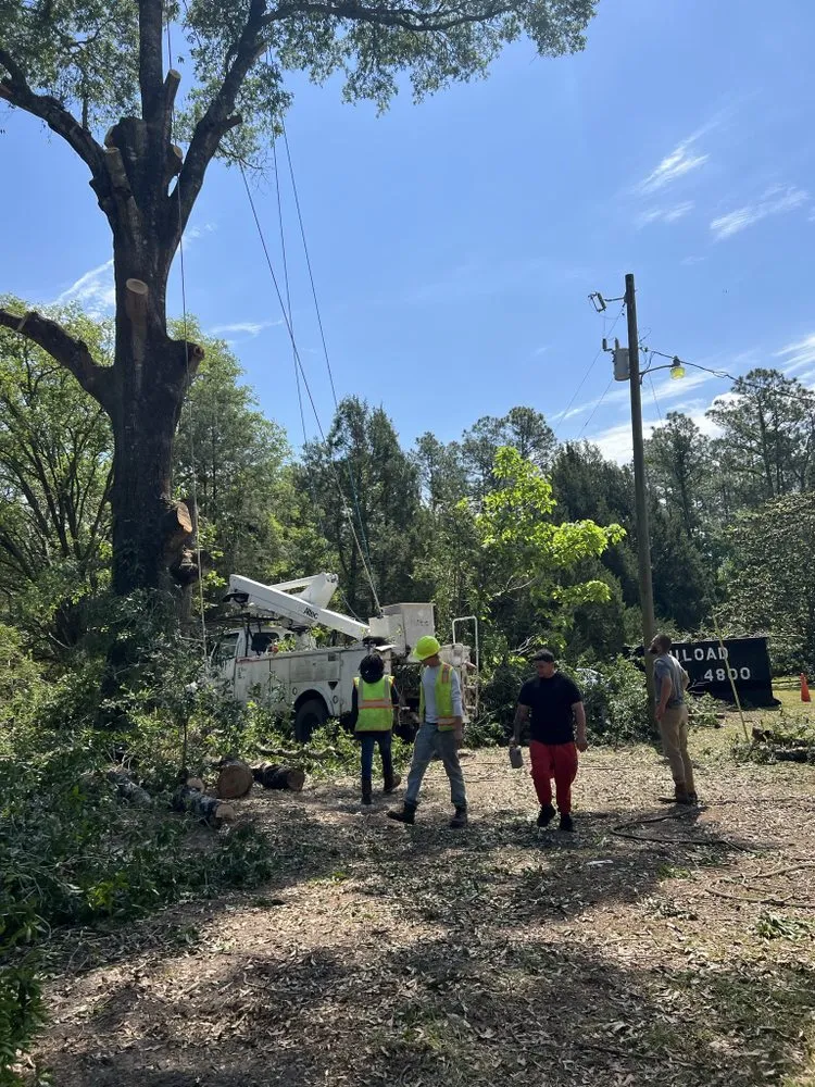 Local lawn mowing service in Bonifay, FL by Lee's Tree and Lawn Care