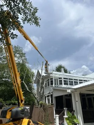 Lee's Tree and Lawn Care