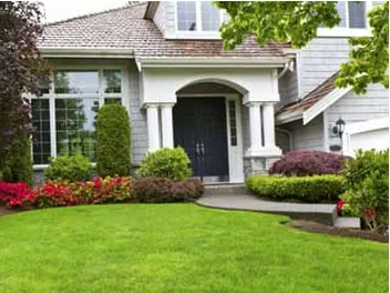 Top-rated yard cleanup service experts serving Midland, TX - Lee's Tree's and More