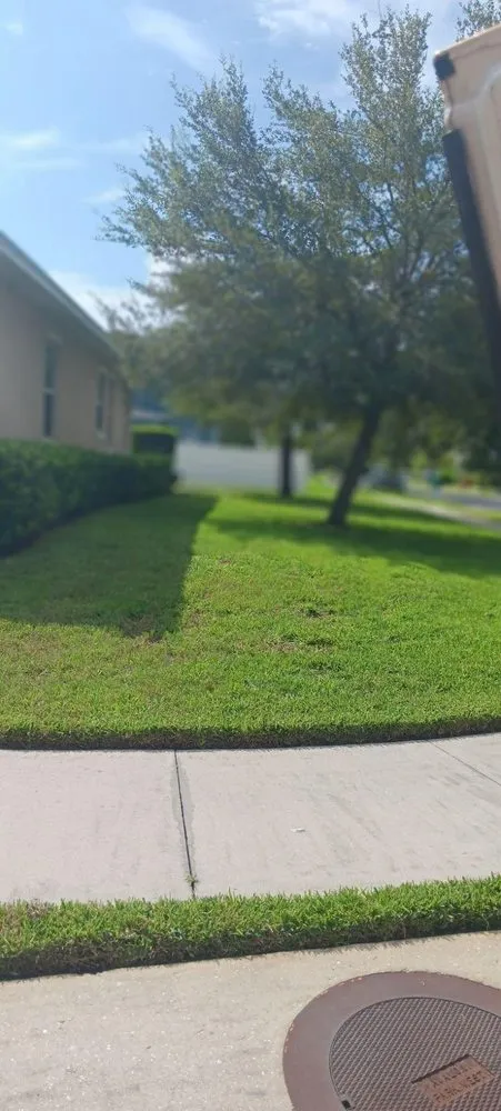 Professional landscape installation in Zephyrhills, FL - Lee's Trees, Lawns N Leaves